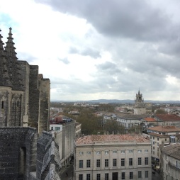 Views of Avignon